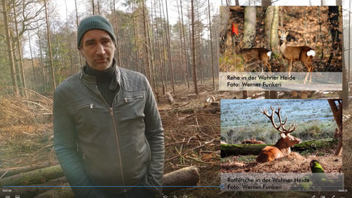 Holger Sticht, Bündnis Heideterrasse e.v., zum Thema Wald
